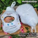 Ayam Kalkun young tender turkey NORBEST USA with pop-up timer HALAL frozen +/- 6 kg/pc (price/kg)